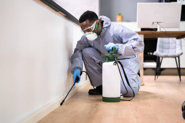 Best Real Estate Pest Inspections  in Norwood, OH